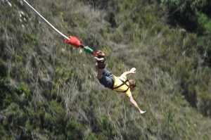 Rich's bungy jump