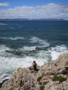 Rich whale watching from the cliff