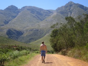 Glorious sunshine for our afternoon walk