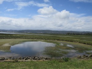Tides out at the lagoon