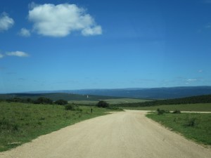 Track through Addo Elephant Park