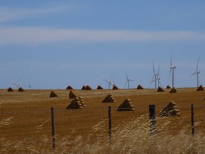 Triangular hay bales