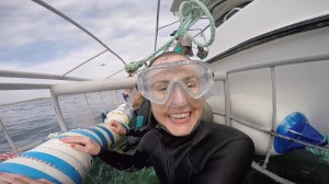 Sonia ready to scare off the sharks