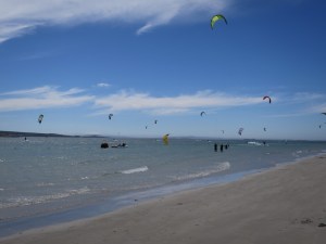 Kites in the sky at Langebaan