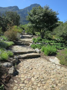 Footpath through the gardens