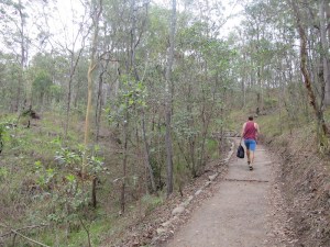Rich walking through the forest path