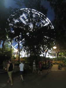 The Brisbane eye