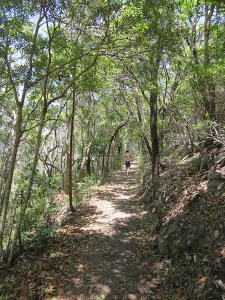 Rich walking to the summit