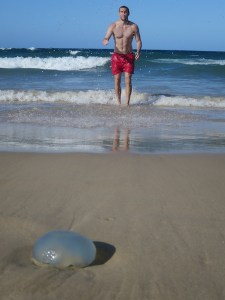 Rich and a jellyfish
