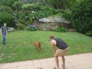 Tom and Rich playing with Dash the dog