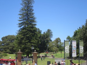 The botanical gardens, a quiet haven in the city
