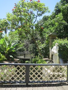 One of the delights on view at the botanical gardens