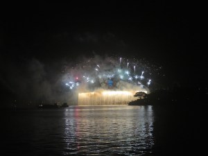 I love the silhouette of the tree in front of the Harbour Bridge waterfall fireworks