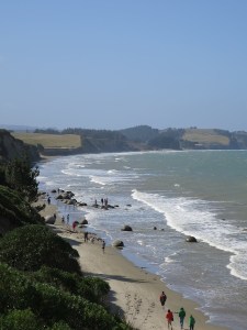 The Moeraki Boulders can clearly be seen along the beach from a distance