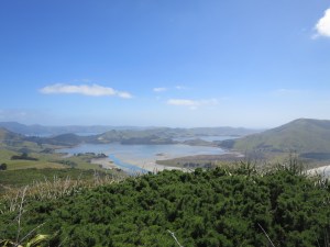 Scenic views from the Otago peninsula back towards the mainland