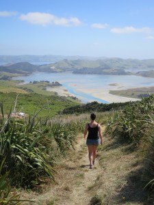 Sonia walking back from the Otago peninsula lookout