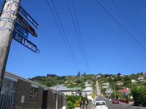 Baldwin Street, the worlds steepest street