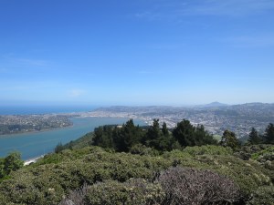 View of Dunedin from Signal Hill lookout
