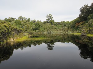 Perfect reflections on Lake Wilkie