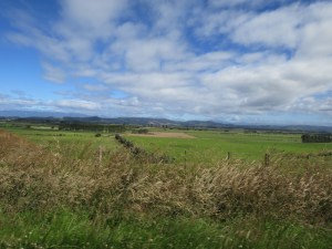 We could see the mountains in the distance beyond the farmland