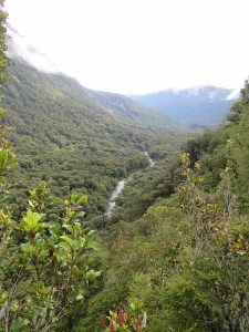 Lush mountain views on the way to Milford Sound