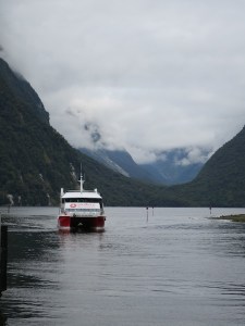 Our catamaran cruise