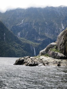 Seal rock with sunbathing seals