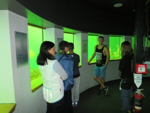 The underwater observatory