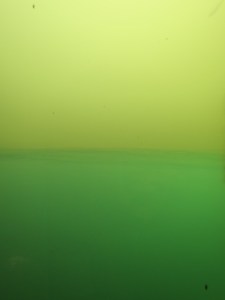 Fresh water sitting on top of the salt water below