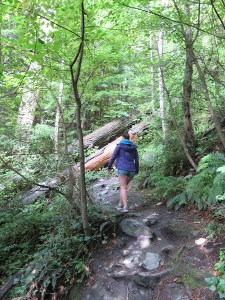 Sonia walking up through Ben Lomond forest