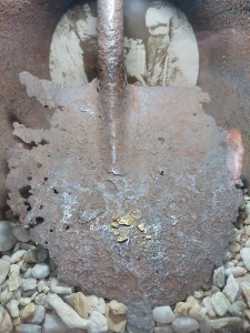Gold on display at the Arrowtown Museum