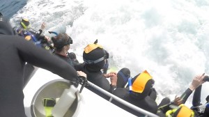 Waiting on the back of the boat for dolphins to appear