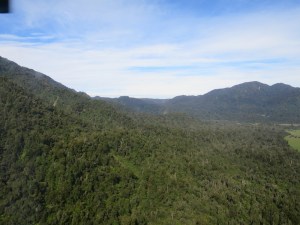 Initial views of the rainforest covered mountains