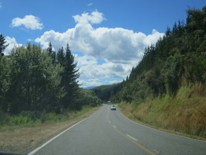 Tree lined roads led us up north