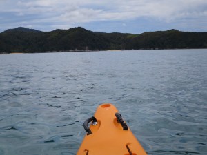 Our playground for the day!