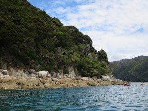 Kayaking along the rocks searching for seals