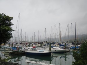Nelson Harbour