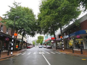 Nelson Town Centre