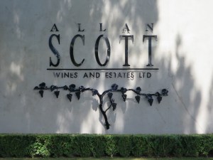 At the Allan Scott winery