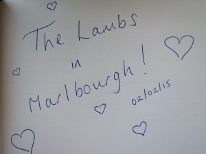 A little message we left in the guest book at Spy Valley