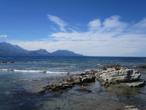 A glorious sight with sunbathing seals