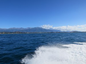 On our way to swim with dolphins