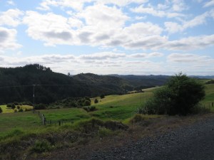 The drive up to Paihia had beautiful views