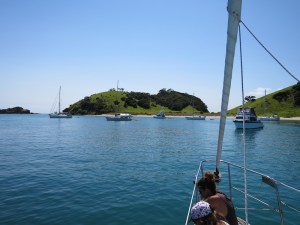 A great day out sailing