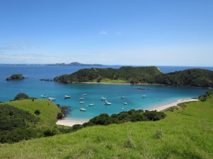 View of our lunch spot from the top of the hill