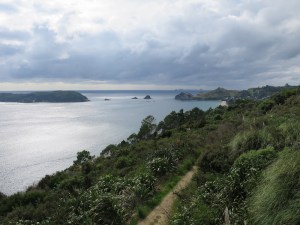 It was a cloudy day for our walk