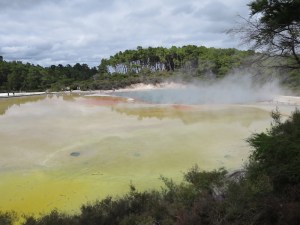 The colours on display were magnificent