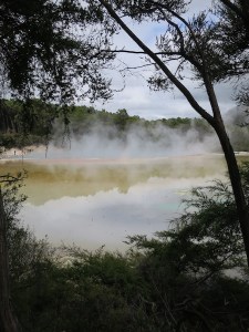 Colourful mineral deposits from Champagne Pool Hot Spring