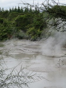 The hot mud pools