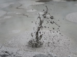 A close up of the bubbling mud